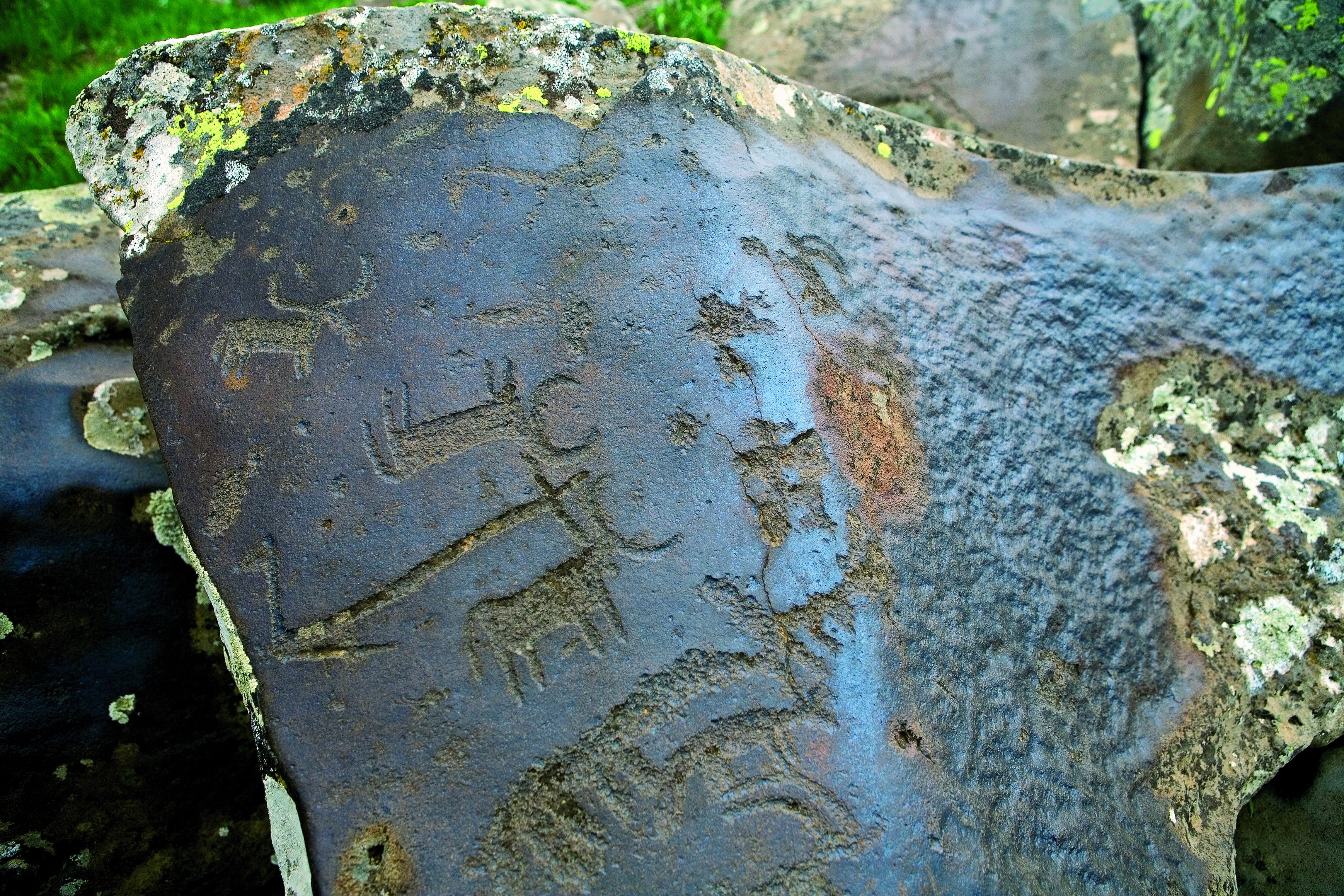 Петроглиф с изображением животных. Ухтасар