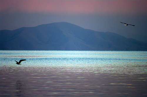 Озеро Севан. Фото: Gregor Samsa